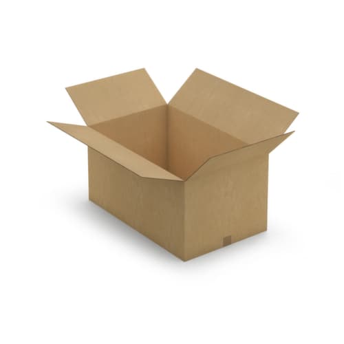 Caisse carton brune RAJA