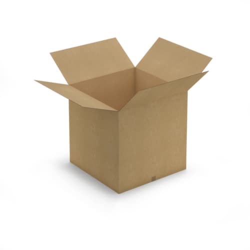 Caisse carton brune RAJA